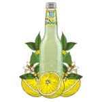 Galvanina Fruit Bio Limonata 355ml - Box 12τμχ