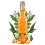 Galvanina Fruit Bio Mandarino 355ml - Box 12τμχ