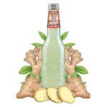 Galvanina Fruit Bio Ginger Ale 355ml - Box 12τμχ