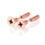 Σκουλαρικια Rose Gold Screw Punk Style